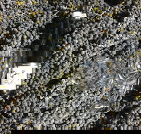 Tobin Wines - Tourism Cairns