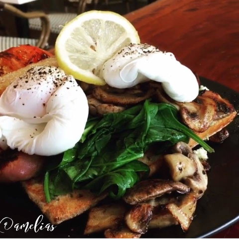 Amelia's Bakery - Tourism Cairns 0