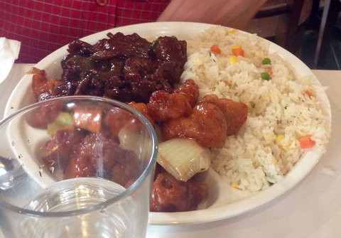 Bodhi Tree - Tourism Cairns 0