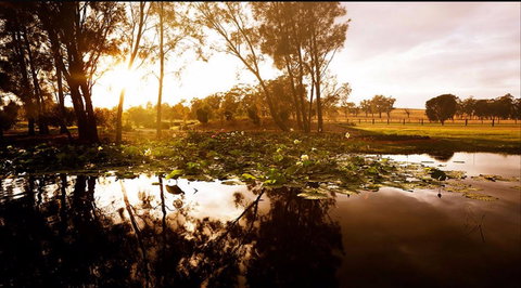 Hunter's Dream - Tourism Cairns 2