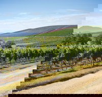 Jansz Tasmania - Tourism Cairns