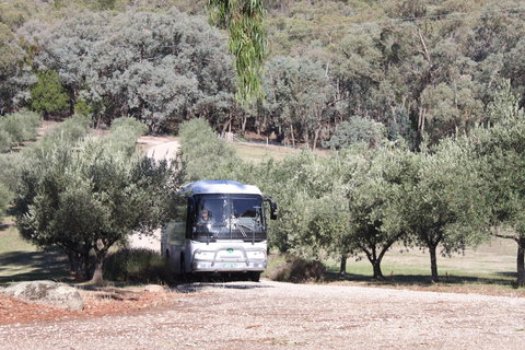 L'Oliveraie Olive Grove - Tourism Cairns 2