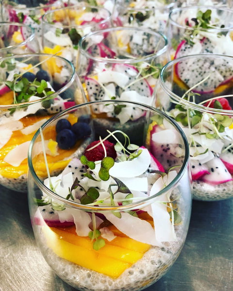 Planted Cootamundra - Tourism Cairns 0