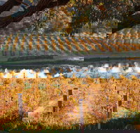 Sanguine Estate - Tourism Cairns