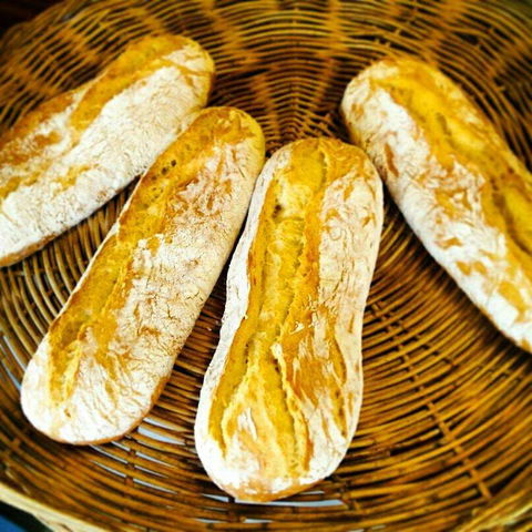 The Holy Grain Bakery - Tourism Cairns 0