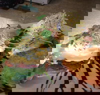 Cafe in the Mountains - Tourism Cairns