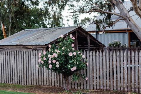 Penny's Hill Winery - Tourism Cairns 2
