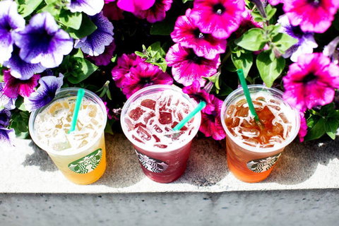 Starbucks - Haymarket - Tourism Cairns 0