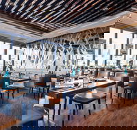 The Conder - Tourism Cairns