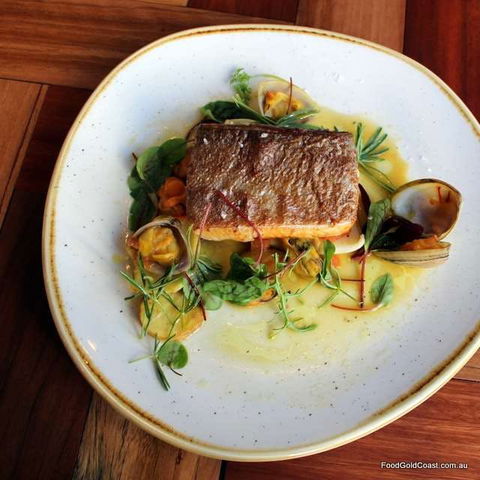 The Island Bistro - Surfers Paradise - Tourism Cairns 0