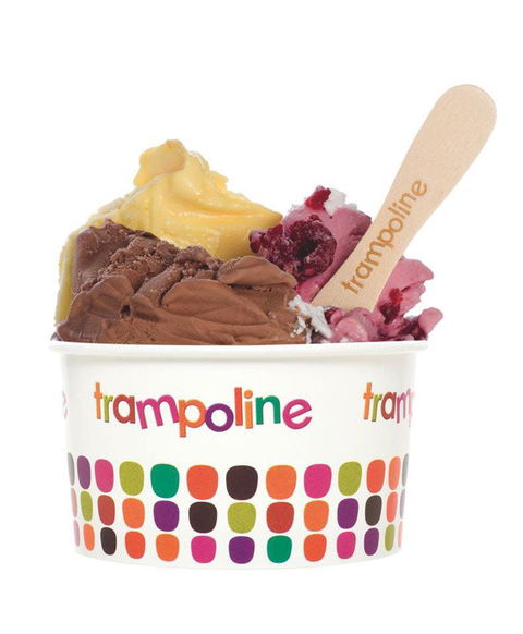 Trampoline Gelato - Doncaster - Tourism Cairns 0