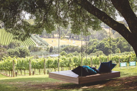 Tucks - Tourism Cairns 0