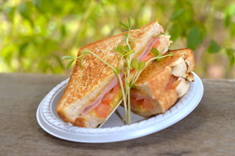 Wangi Falls Cafe - Tourism Cairns 2