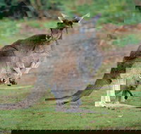 John Forrest Tavern - Tourism Cairns