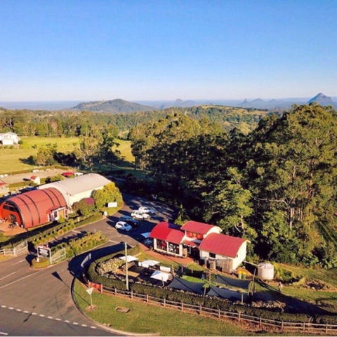Live Foods Cafe - Tourism Cairns 0