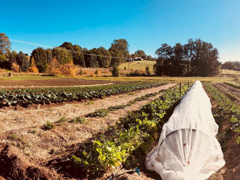 Synchronicity Farm - Tourism Cairns 0