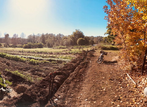 Synchronicity Farm - Tourism Cairns 1