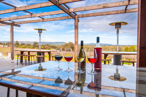 David Franz - Tourism Cairns 2