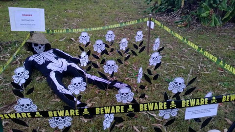 Hillbilly Coffee - Tourism Cairns 0