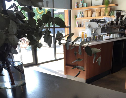 Sixpence Coffee Roasters - Tourism Cairns 2