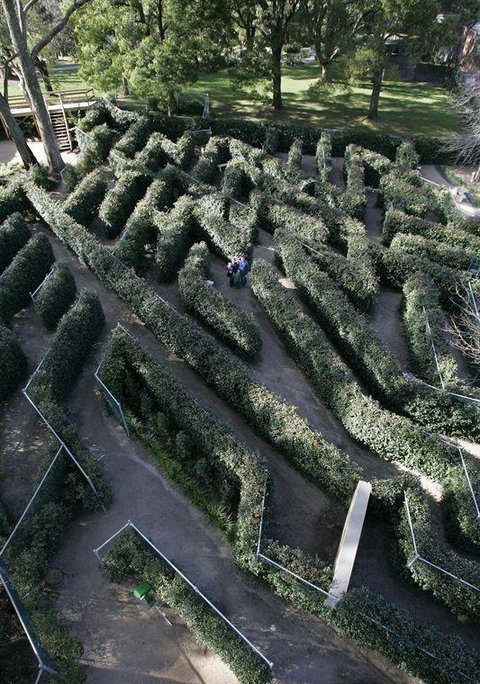 Bluebush Cafe - Tourism Cairns 11