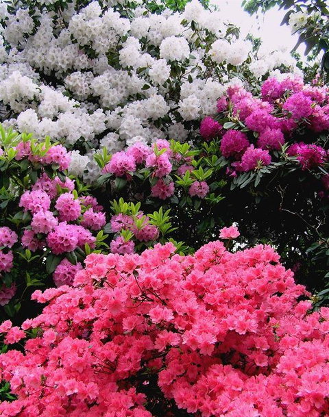 Bluebush Cafe - Tourism Cairns 12