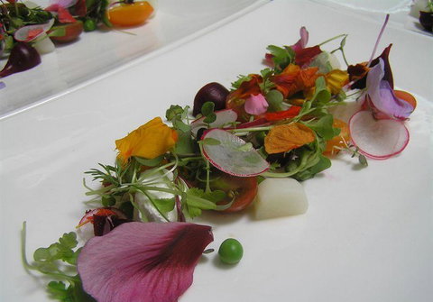 Bluebush Cafe - Tourism Cairns 13