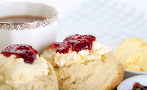 Bluebush Cafe - Tourism Cairns 19