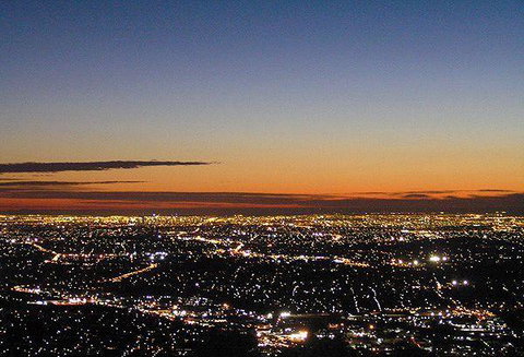 Bluebush Cafe - Tourism Cairns 21