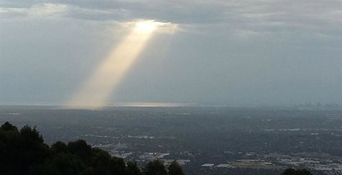 Bluebush Cafe - Tourism Cairns 26