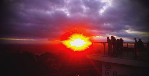 Bluebush Cafe - Tourism Cairns 28