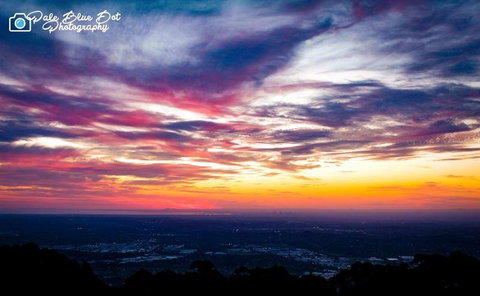 Bluebush Cafe - Tourism Cairns 29