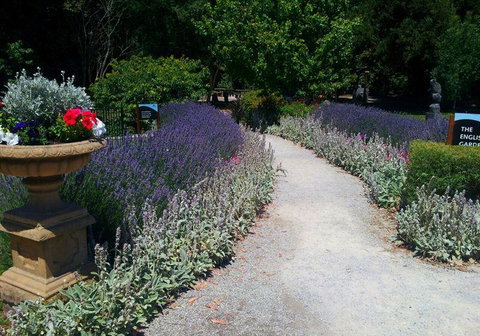 Bluebush Cafe - Tourism Cairns 6