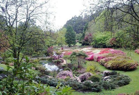 Bluebush Cafe - Tourism Cairns 7