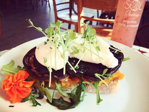 Succulent Cafe - Tourism Cairns 0