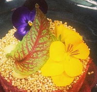 The Shack Cafe - Tourism Cairns