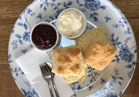 Bean And Barrow - Tourism Cairns 24