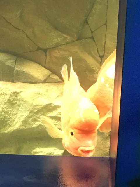 The Amazon Basin - Tourism Cairns 1