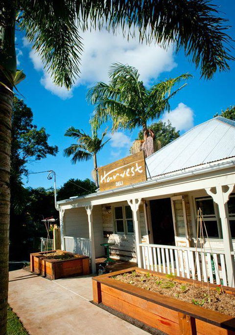 Harvest - Tourism Cairns 6