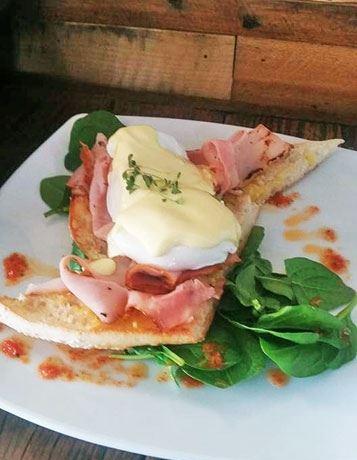 Blue Jay Cafe - Tourism Cairns 15