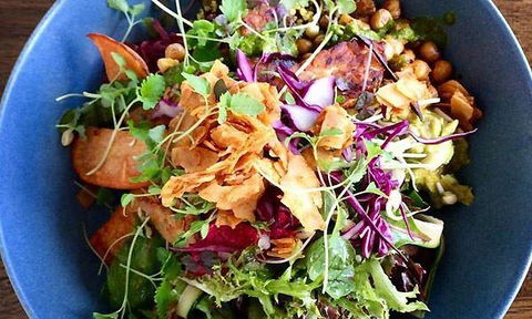The Beet Vegan Restaurant - Tourism Cairns 9
