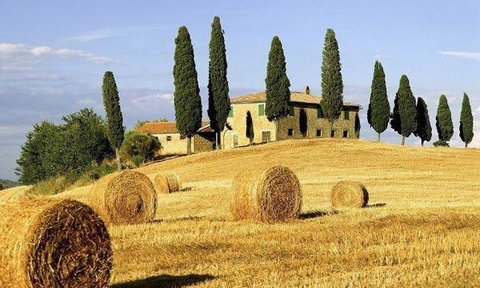 What's In The Pot? - Tourism Cairns 16
