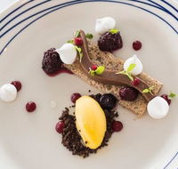 Wild Herring - Tourism Cairns