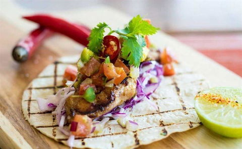 Tacocat - Tourism Cairns 10