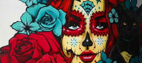 Tacocat - Tourism Cairns 7
