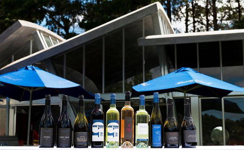 Zorbas Pizza - Tourism Cairns 6