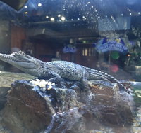 Tims Surf n Turf - Tourism Cairns