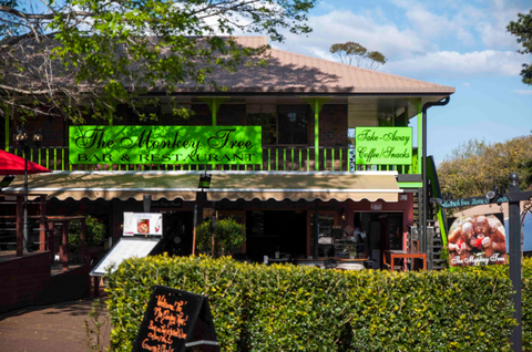 The Monkey Tree Bar & Restaurant - Tourism Cairns 3