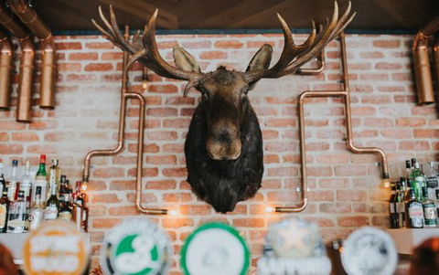 The Loose Moose Tap & Grill - Tourism Cairns 0