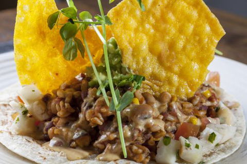 The Beet - Tourism Cairns 4